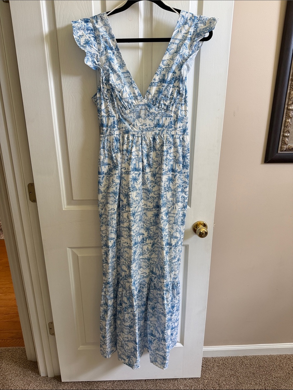 🌸 Skies are Blue: Blue and White Toile Maxi Dress